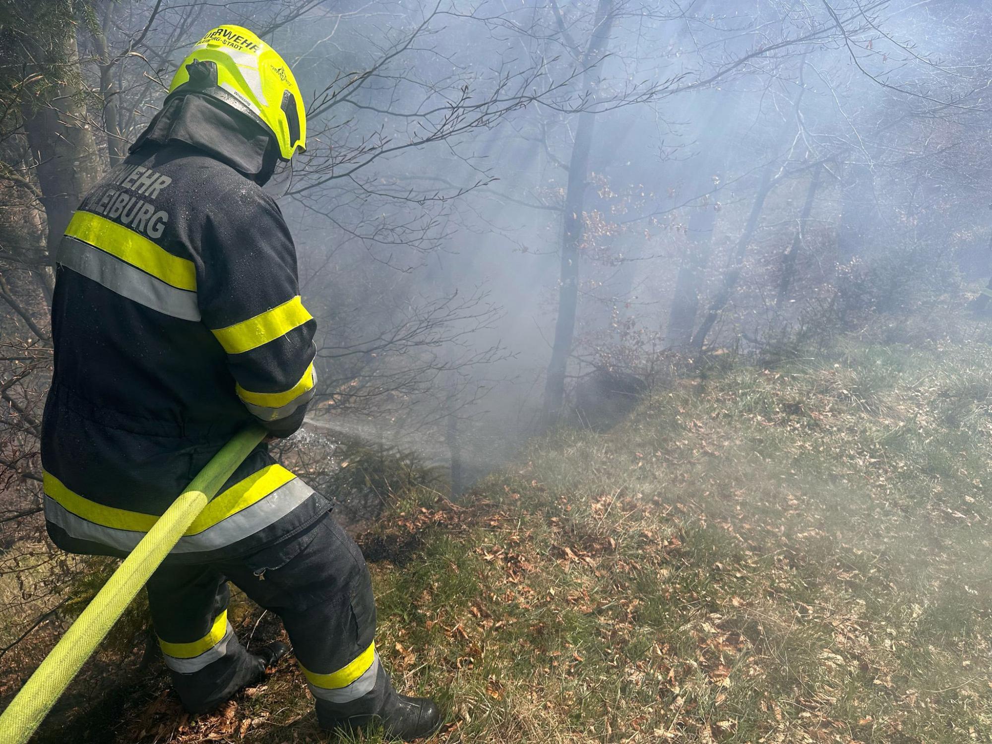 V Avstriji opozorili na povečano nevarnost požarov v več regijah