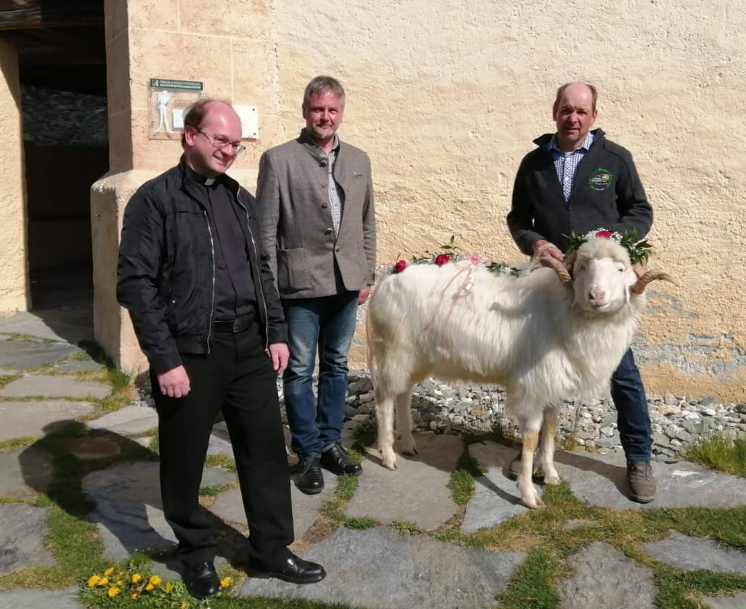 Osterbrauch: Warum man mit einem gestylten Widder spazieren geht