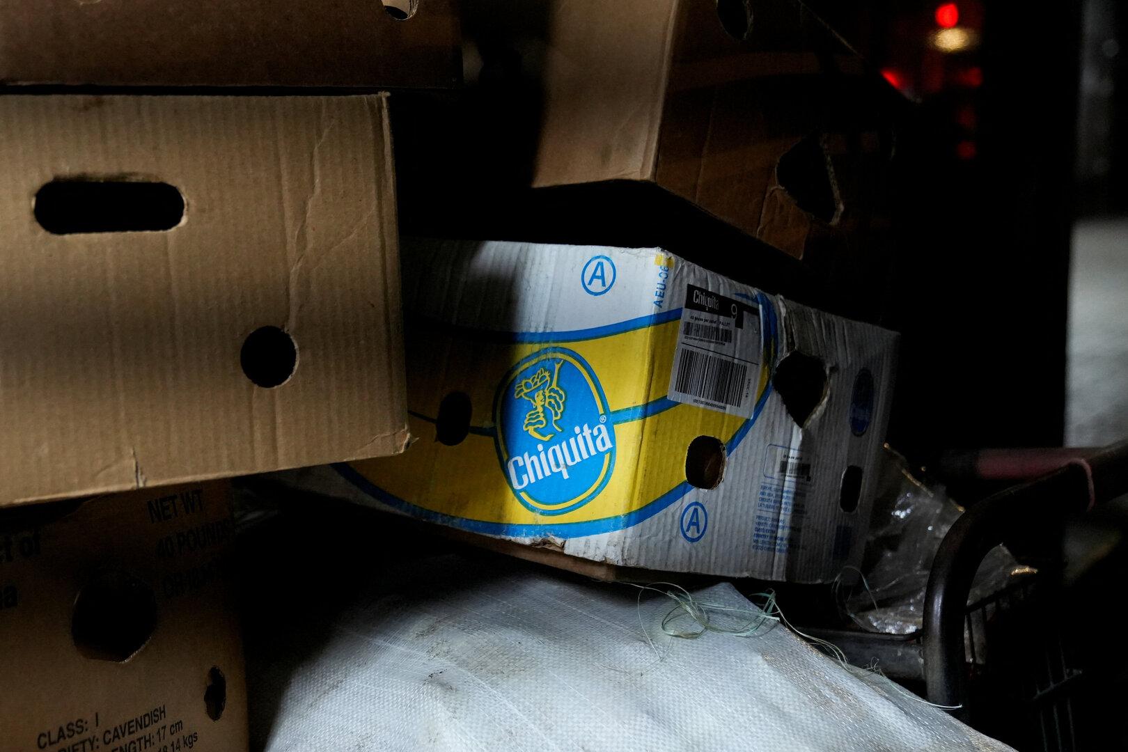 Massenentlassungen bei Chiquita: Tausende Bananenmitarbeiter ohne Job