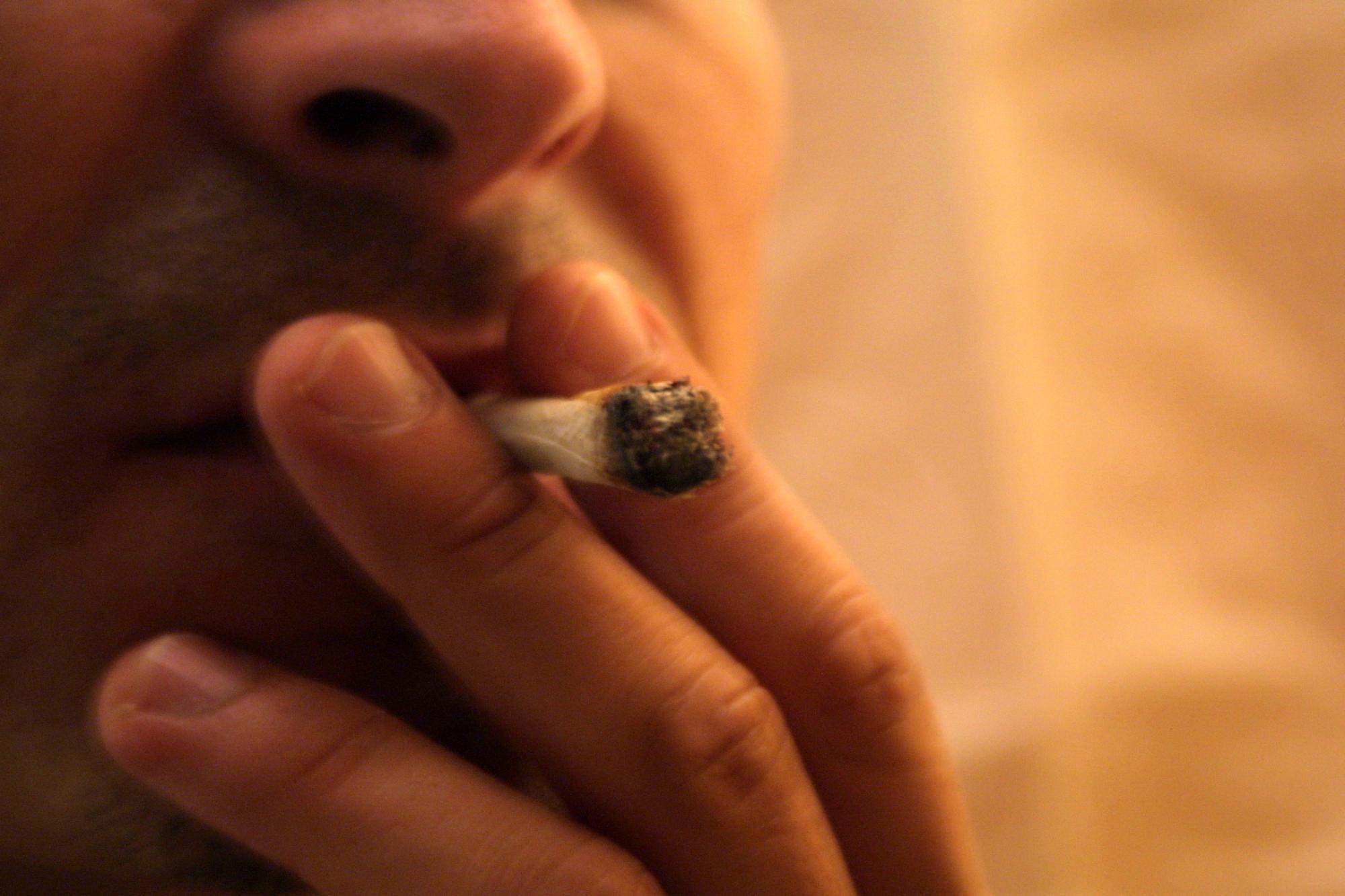Schlangenalarm in OÖ: Polizei erwischt auch 2 Cannabisrauche