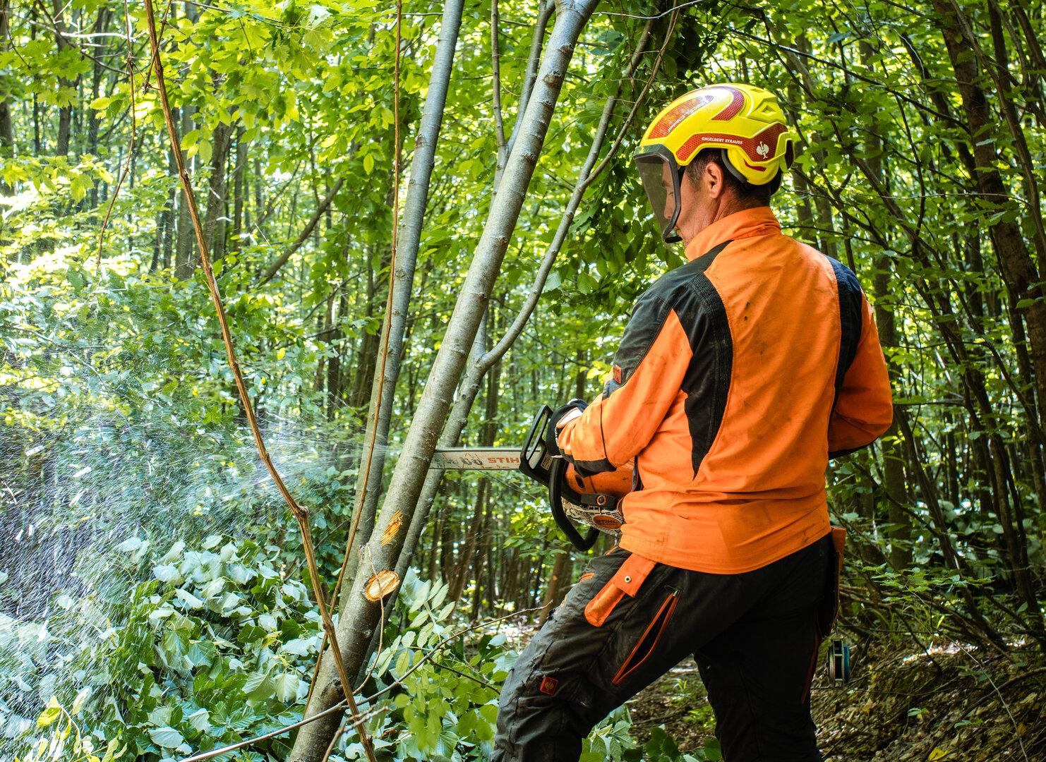Forstarbeiter in rumänischem Wald Forstarbeiter in rumänischem Wald