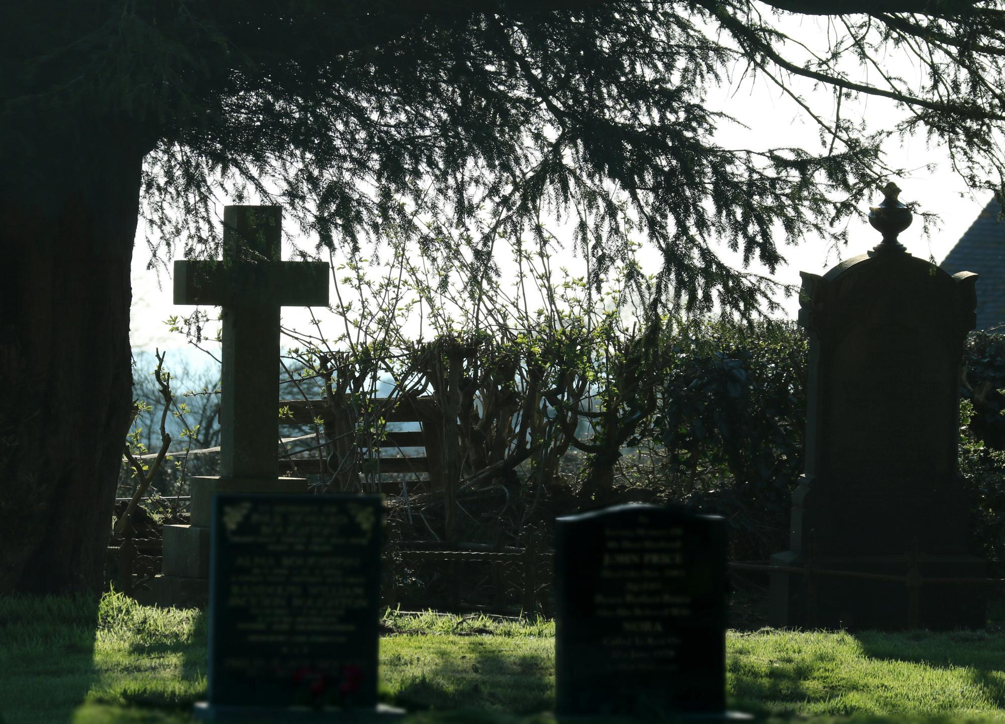 59-Jähriger betrieb Cannabis-Plantage neben Friedhof in NÖ