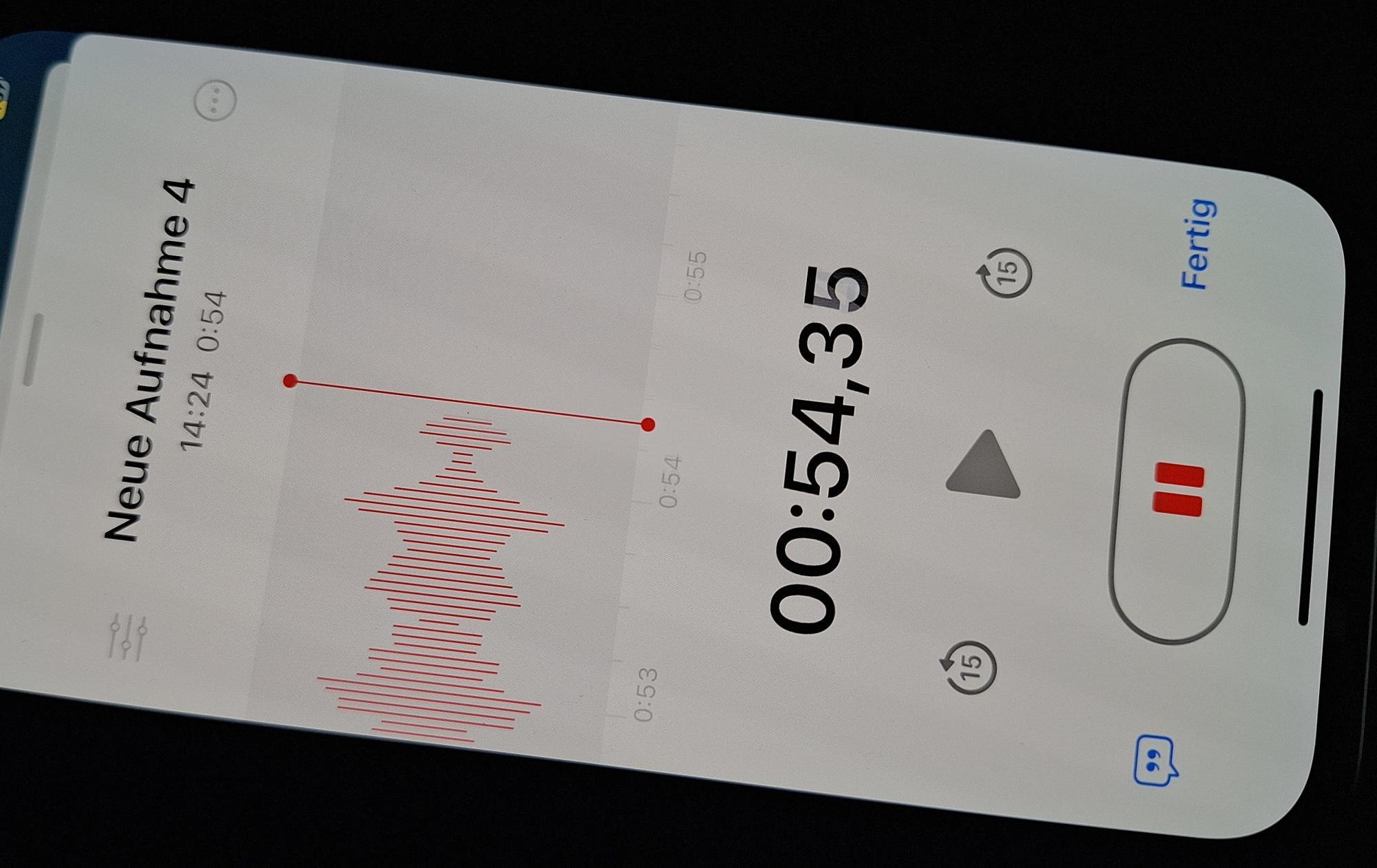 Merz brani vmešavanje cerkva v izbiro ustavnih sodnikov in ne izključuje novih kandidatov