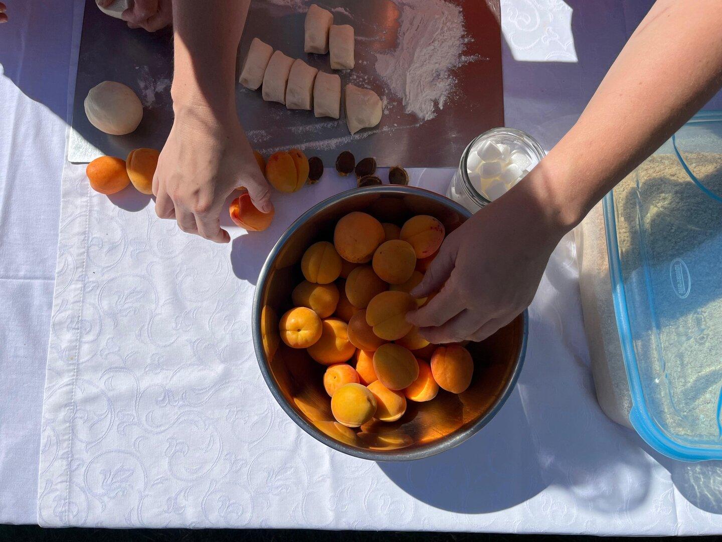 „Wir ernten heuer rund  zwei Millionen Kilo an Marillen“