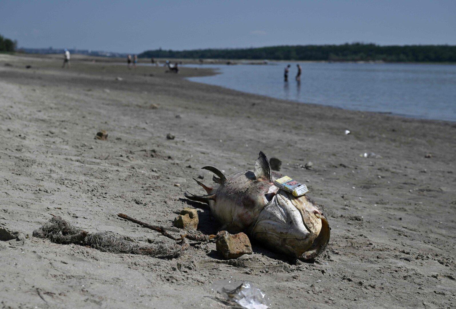 UKRAINE-RUSSIA-CONFLICT-WAR UKRAINE-RUSSIA-CONFLICT-WAR
