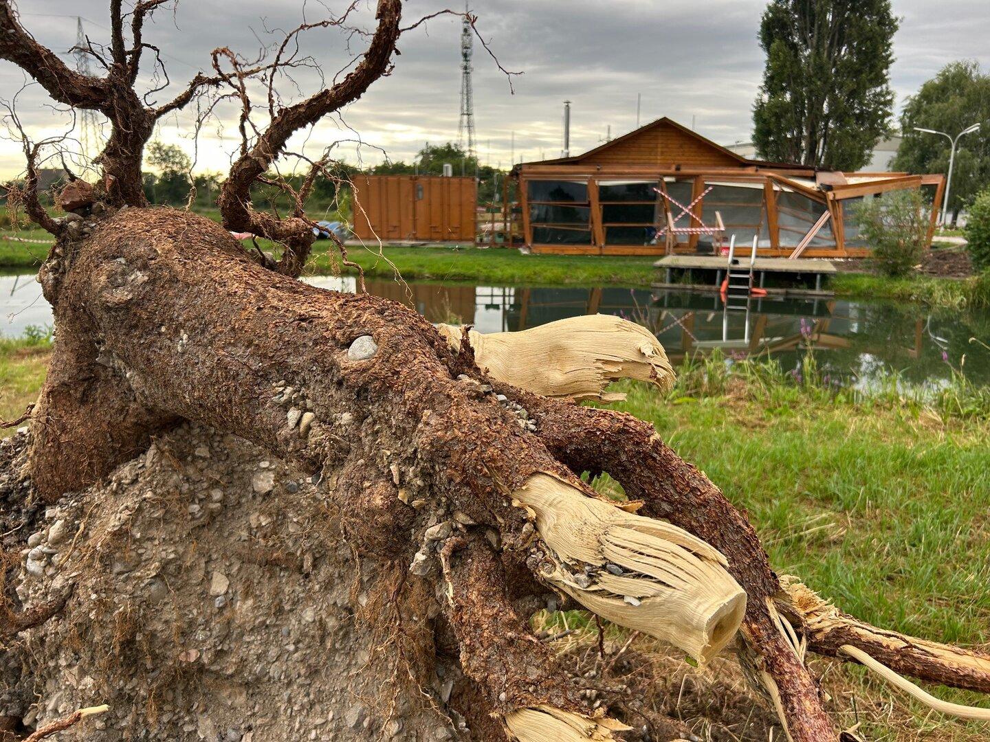 Wiener Neustadt: Unwetter-Opfer bekommen Geld aus Katastrophenfonds