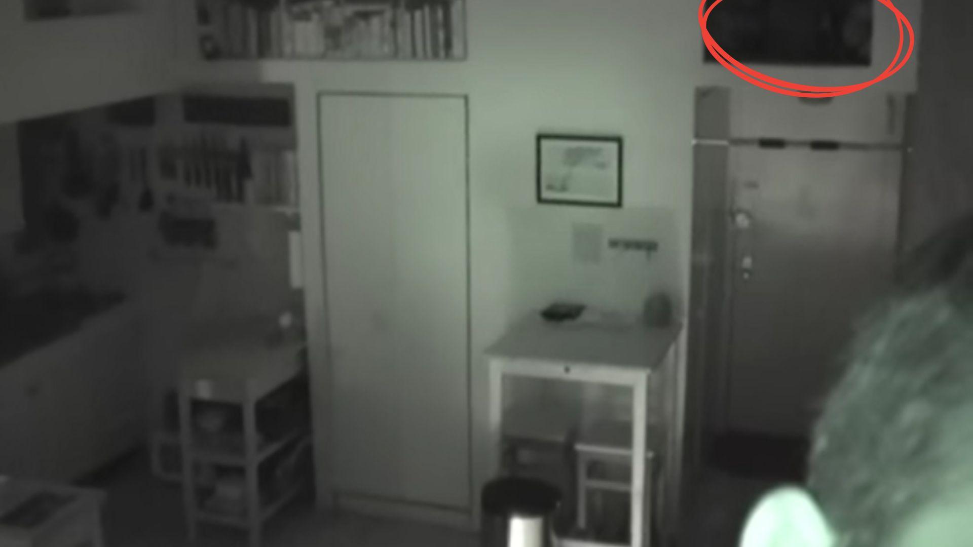 Nepričakovan sostanovalec in petdesetletnica filma Žrelo