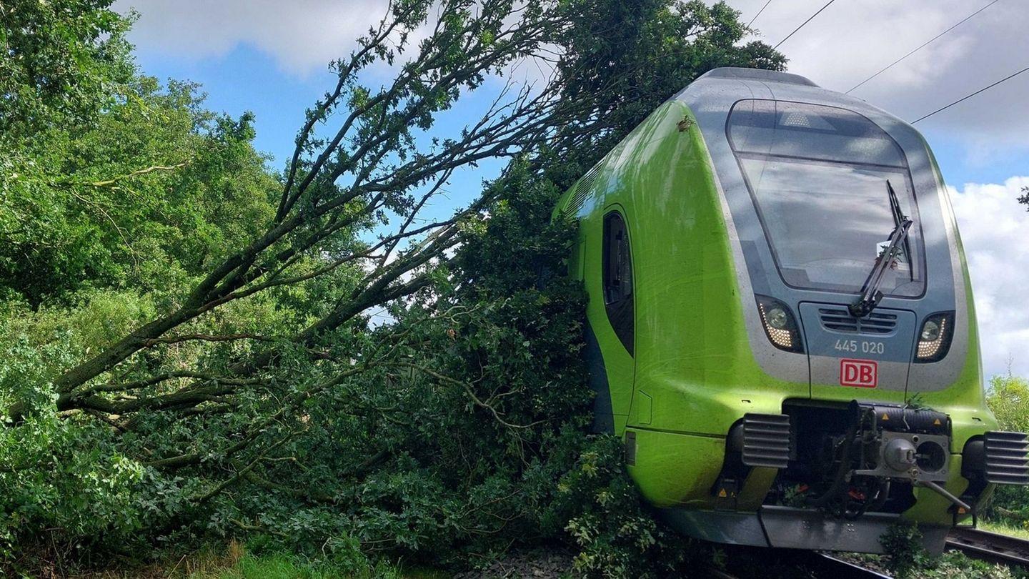 Zug mit 200 Fahrgästen fuhr gegen umgestürzten Baum
