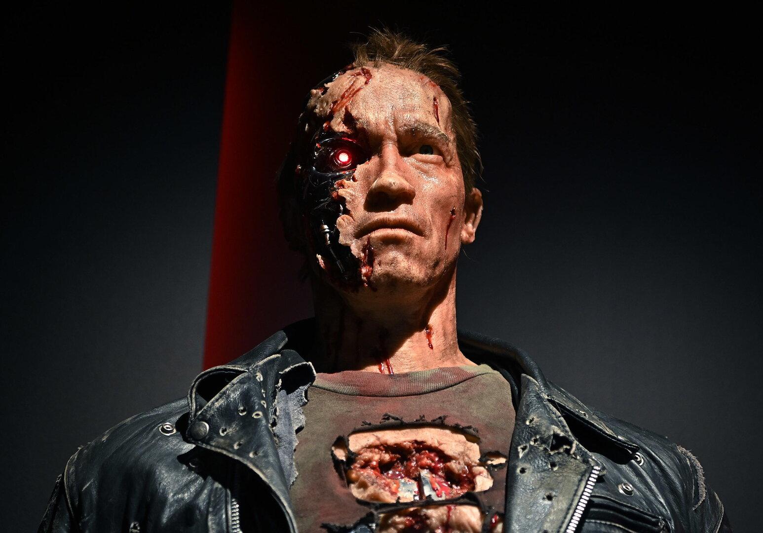 Der wahre Endgegner des Terminators ist die Realität