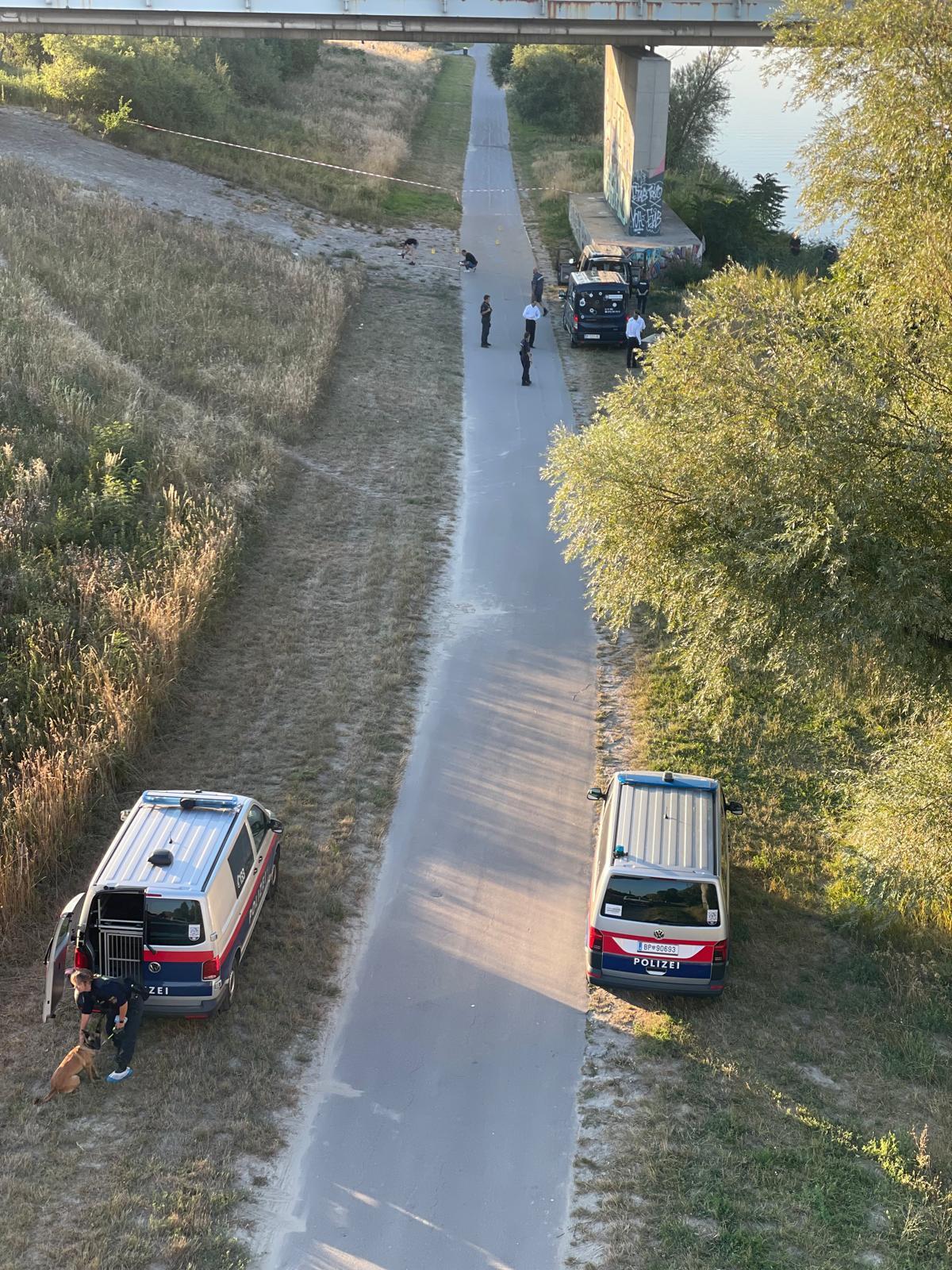 Na Dunajskem Donavskem otoku našli truplo