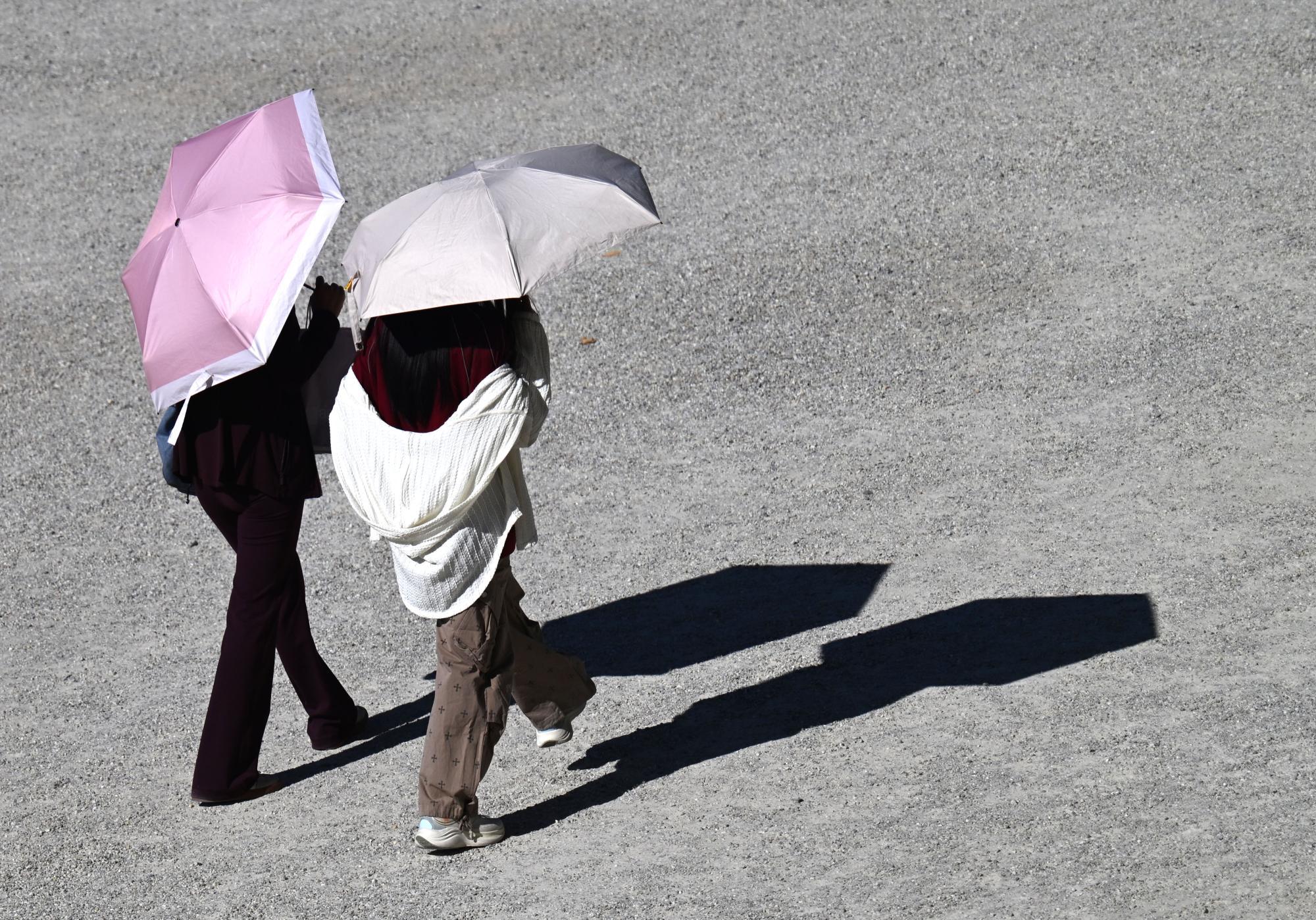 Rekordsommer 2024 in Europa: Über 60.000 Hitzetote