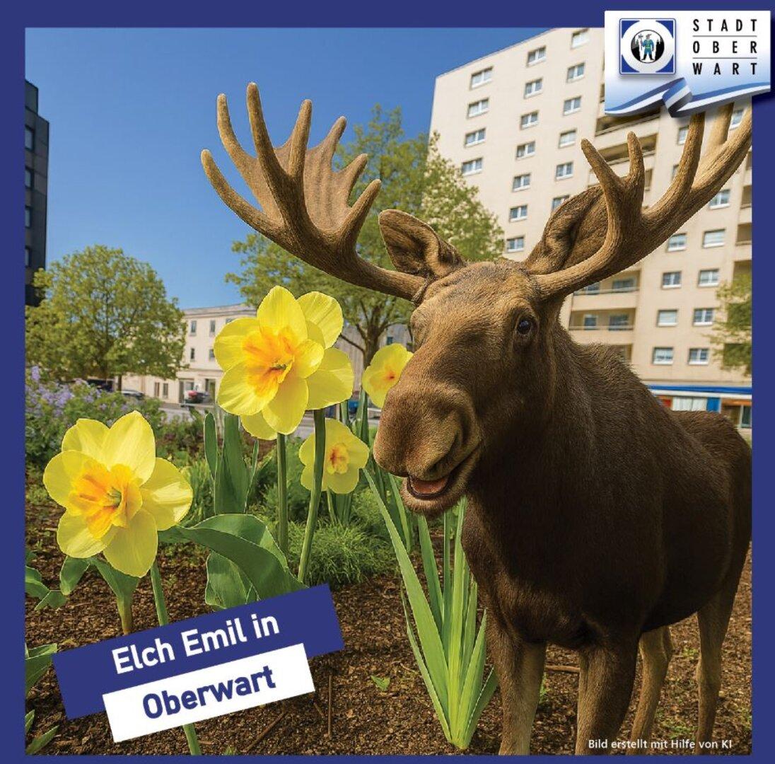 Ein Elch steht in einem Blumenbeet in Oberwart.