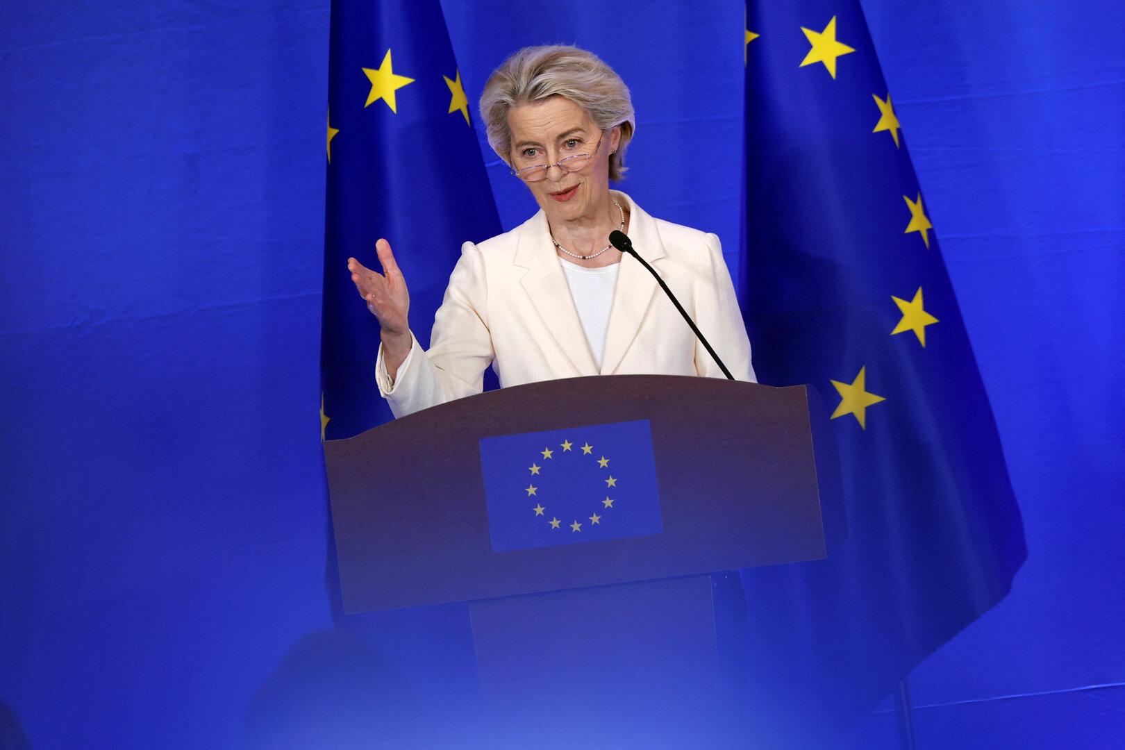 Aus für Verbrenner-Aus gefordert: EU-Autobauer machen Druck auf Von der Leyen