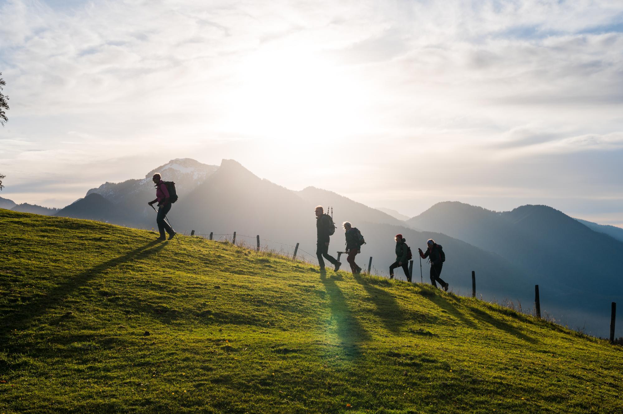 Wanderer gehen einen Hügel hinauf, über Almwiesen, Berge im Hintergrund