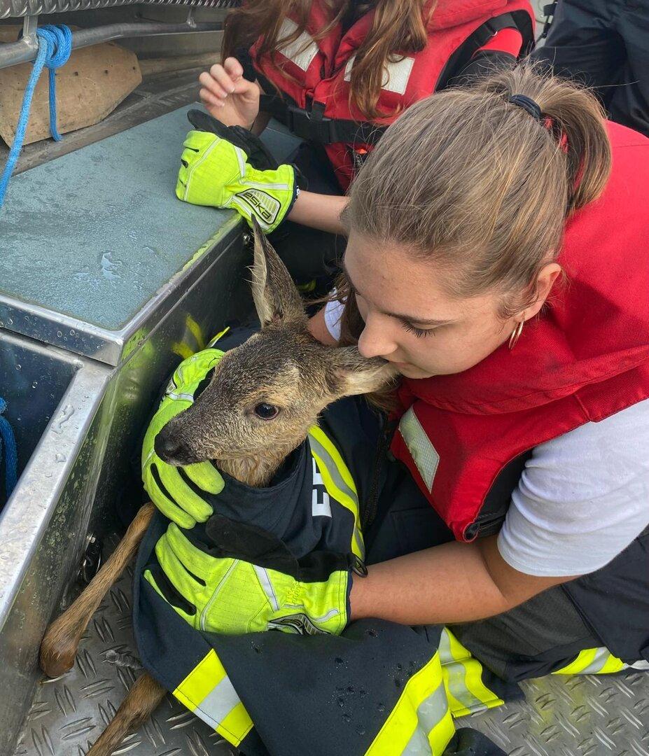 V Ottensheimu so gasilci iz Donave rešili srnjaka