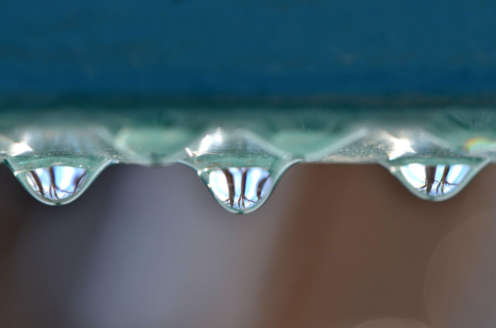 Wassertropfen an der Decke: Wer haftet für Sanierungsfehler?