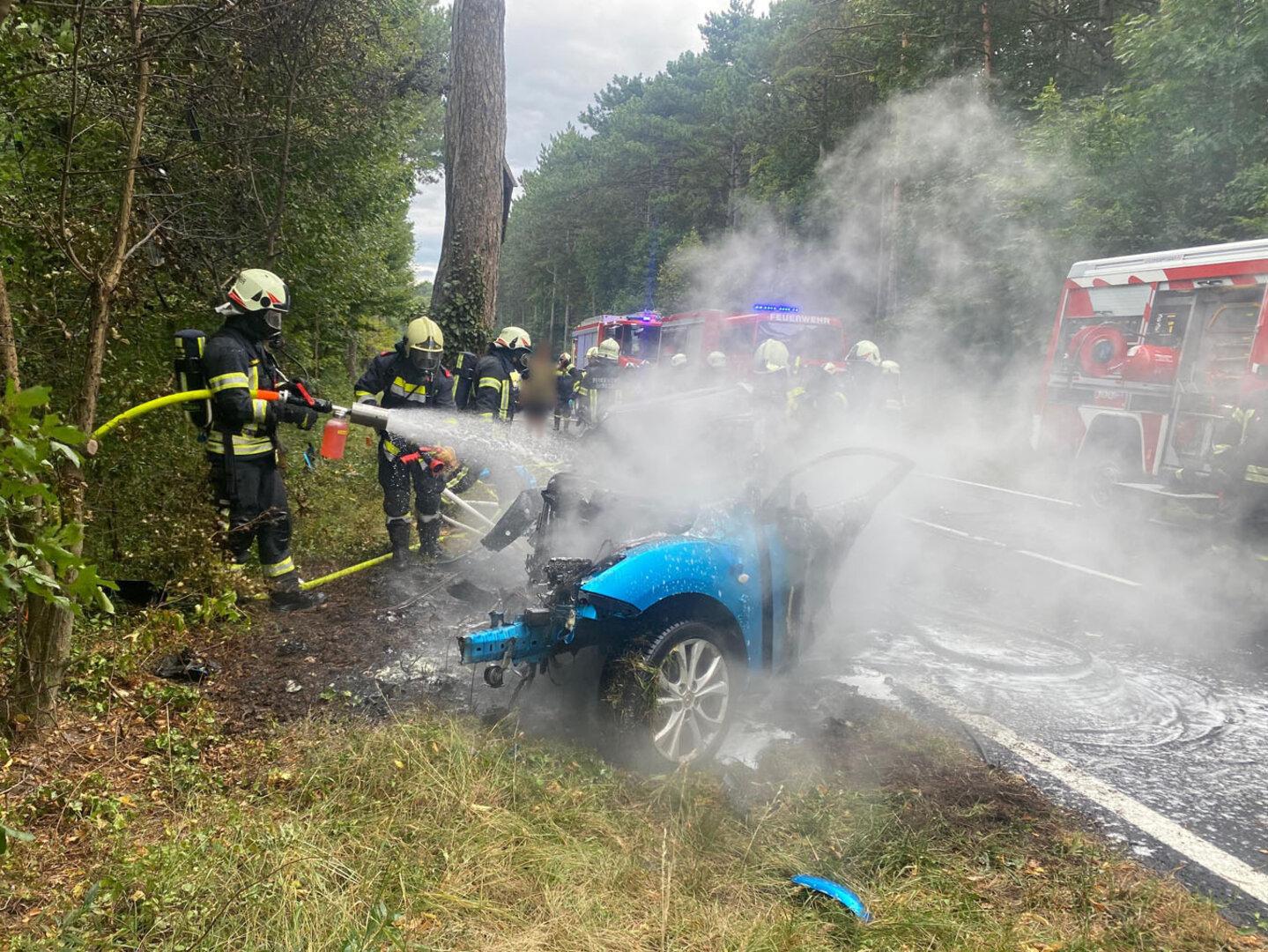 Horror-Unfall in NÖ: Lenker starb in brennendem Wrack