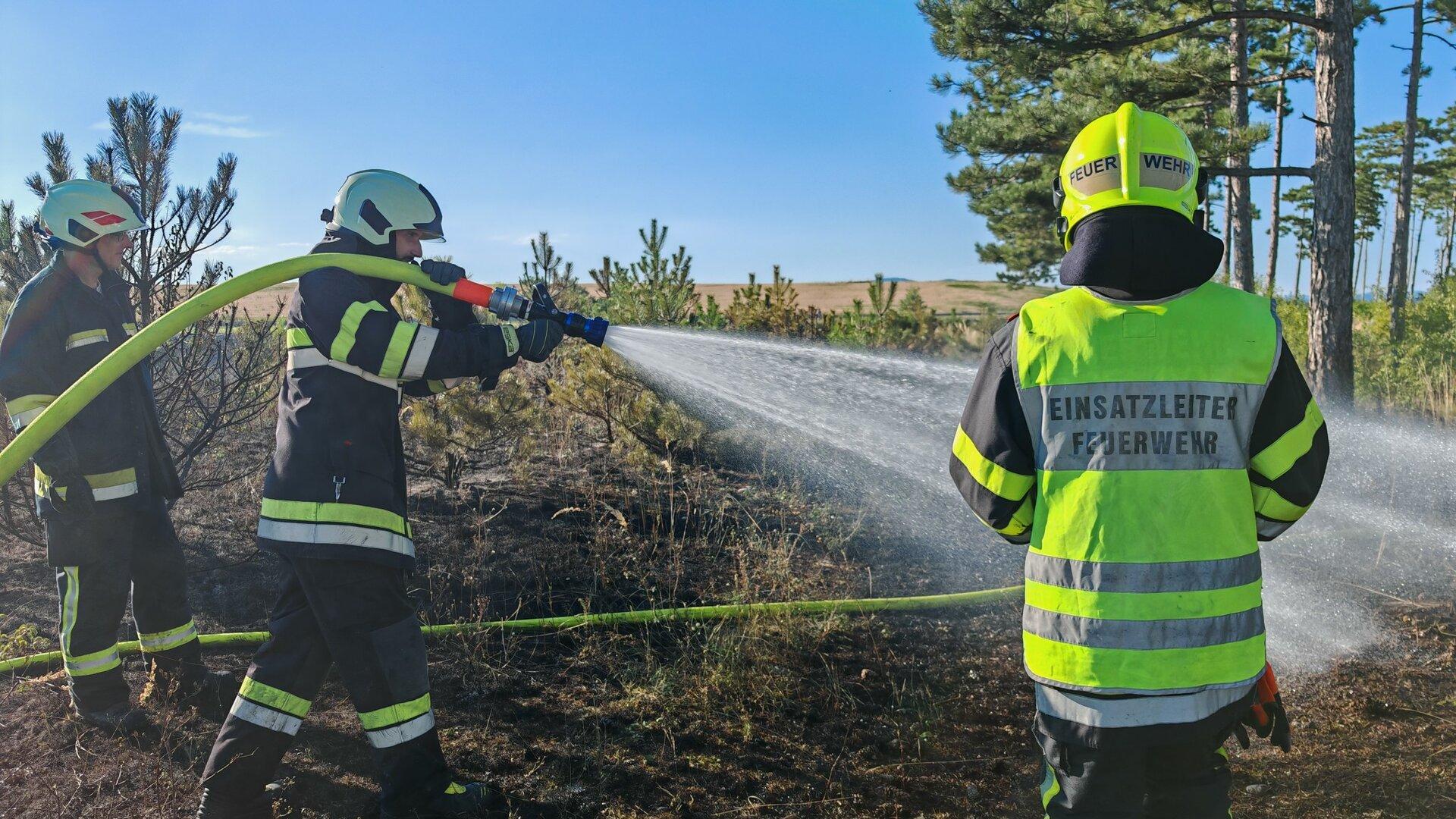Flammen und Wind: Fünf Feuerwehren verhinderten Waldbrand
