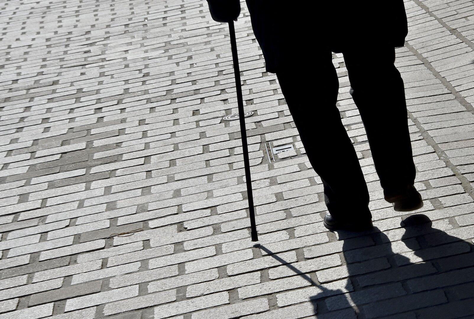 Avstrijski upokojenci se borijo za izplačilo inflacije