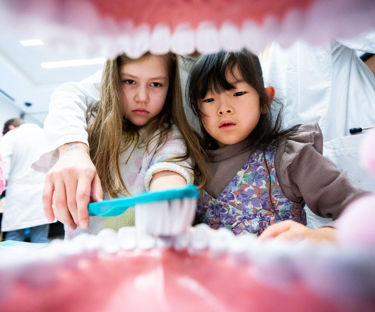 Zahnpasten für weißere Zähne: Teils mangelnder Kariesschutz