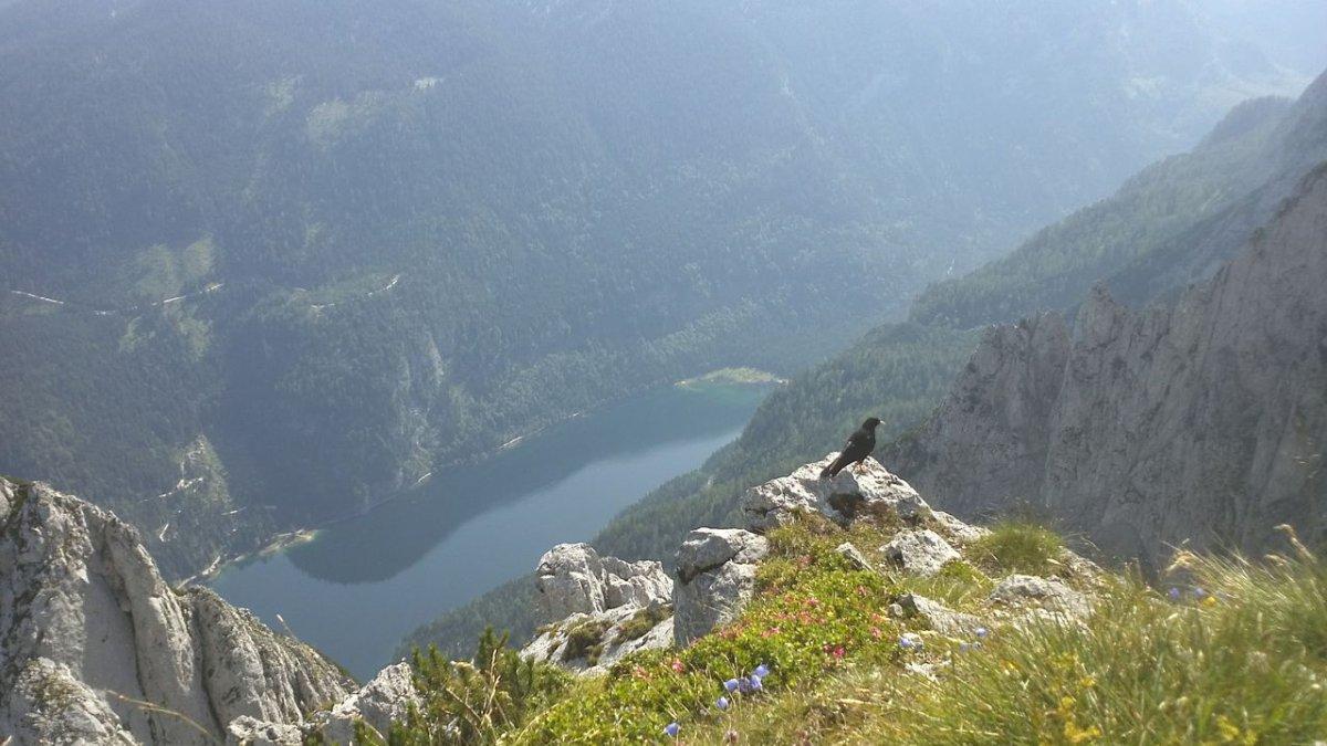 Chinesische Touristin stürzte in Hinteren Gosausee