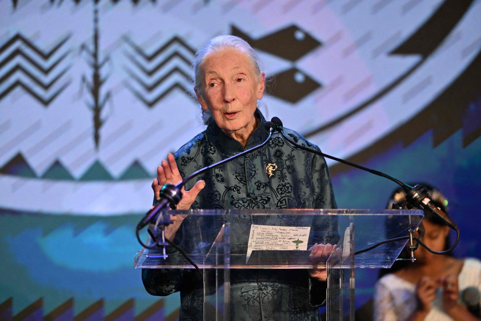 Weltberühmte Primatenforscherin Jane Goodall gestorben