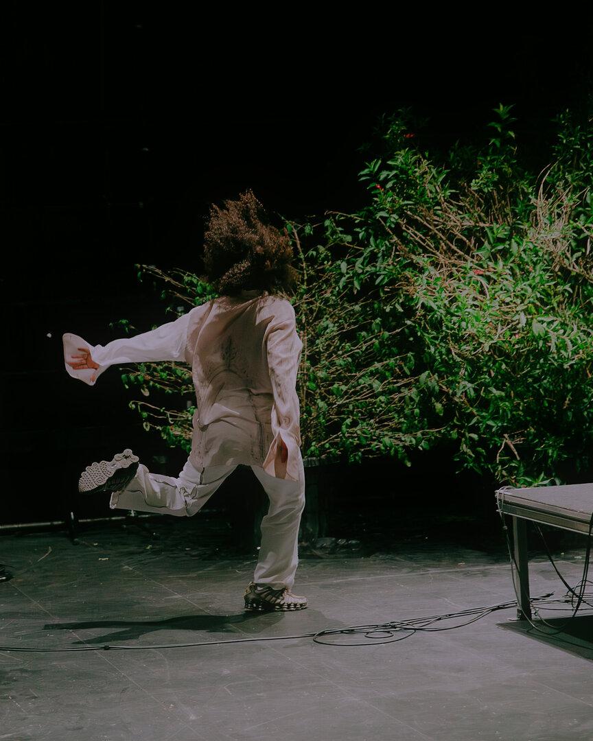 V Badnu premiera muzikala 'Wicked', na Dunaju 'Netopir' z nacistično tematiko