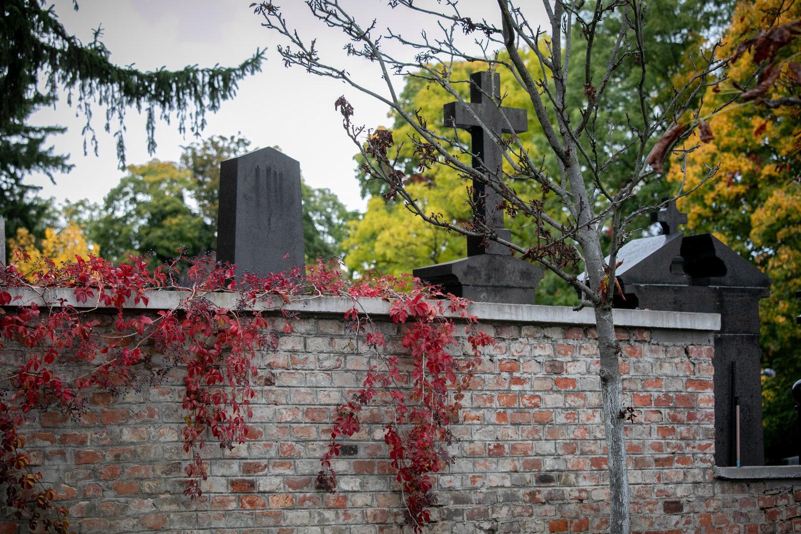 Vorsicht, Trickbetrug: "Rosenverkäuferin" bestiehlt Frau am Grazer Friedhof