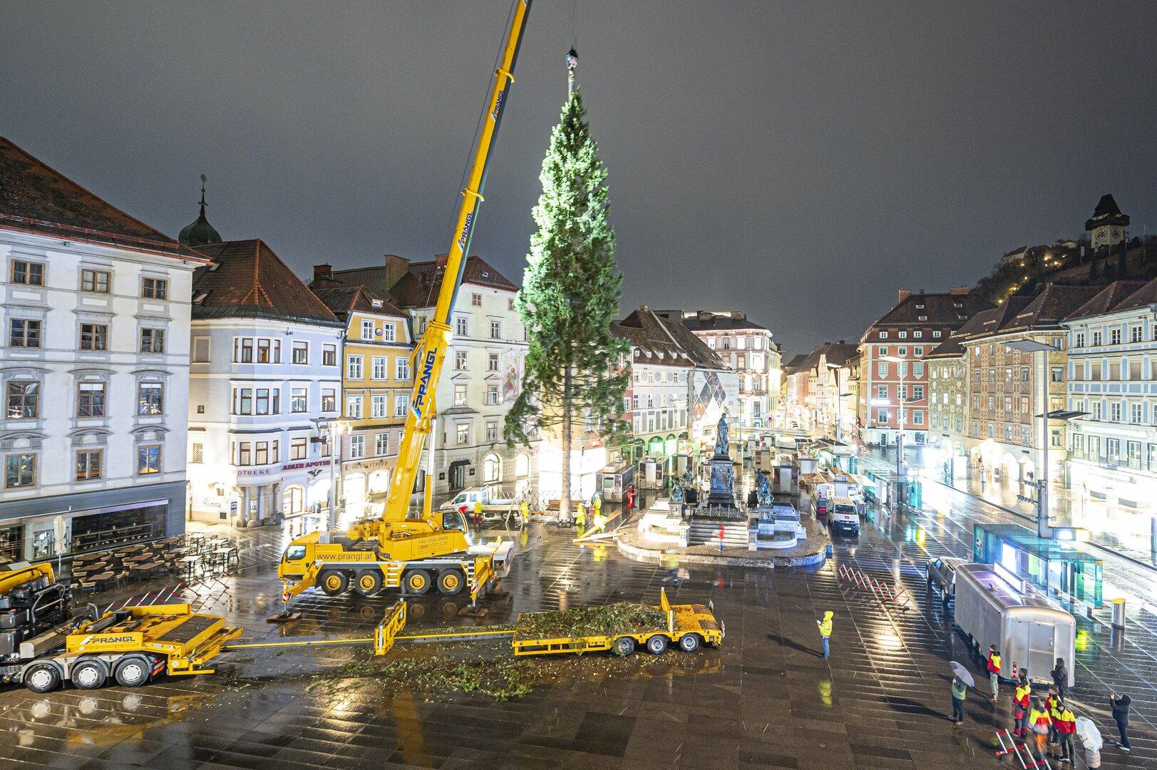 Na glavnem trgu v Gradcu postavljen božični smreki iz Koralm
