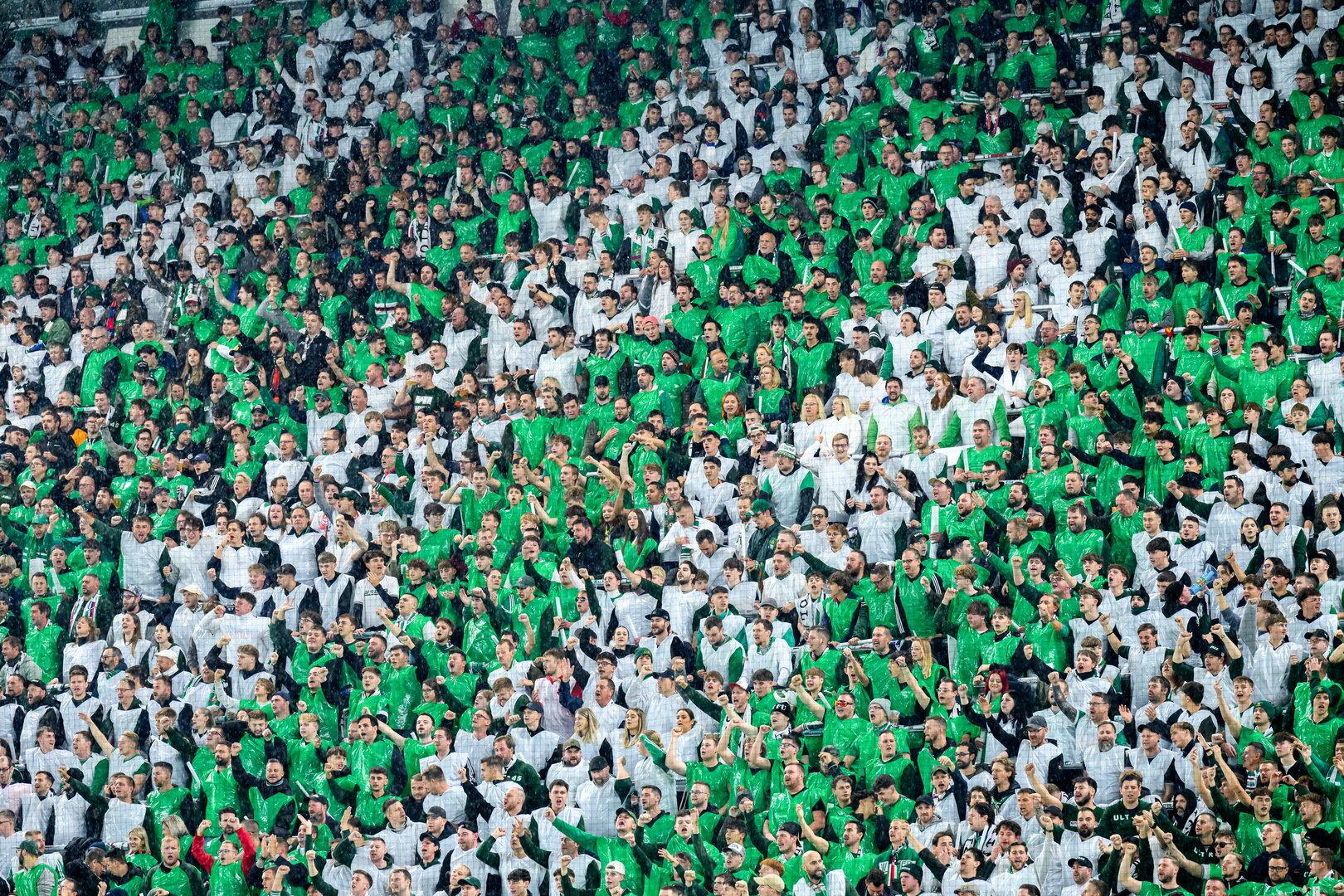 Die Rapid-Fans im Stadion.