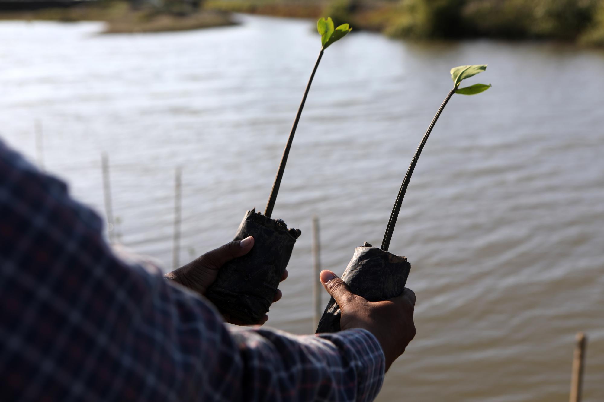 Pazifikstaaten erhöhen Druck vor COP30: „Ausstieg aus fossilen Energien jetzt“