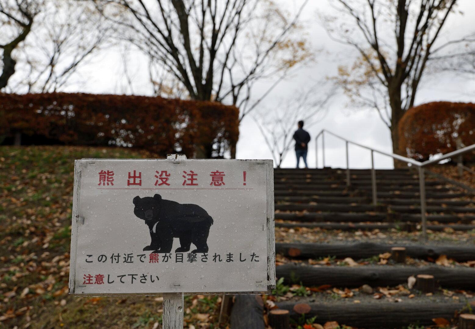 Bär gesichtet: 94 Schulen in Japan geschlossen