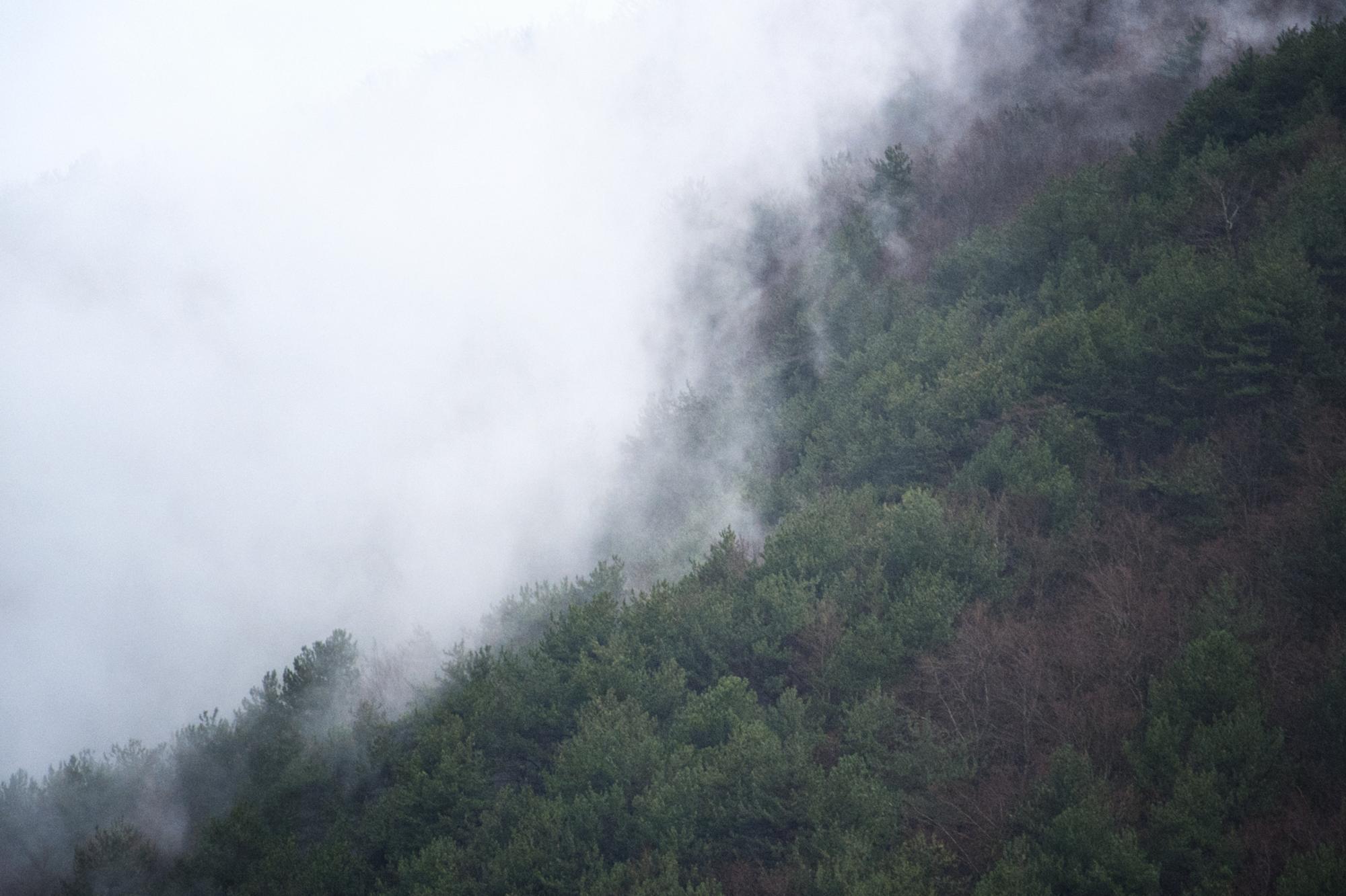 Abgeschiedenes Leben im Wald: Eltern könnten Sorgerecht verlieren