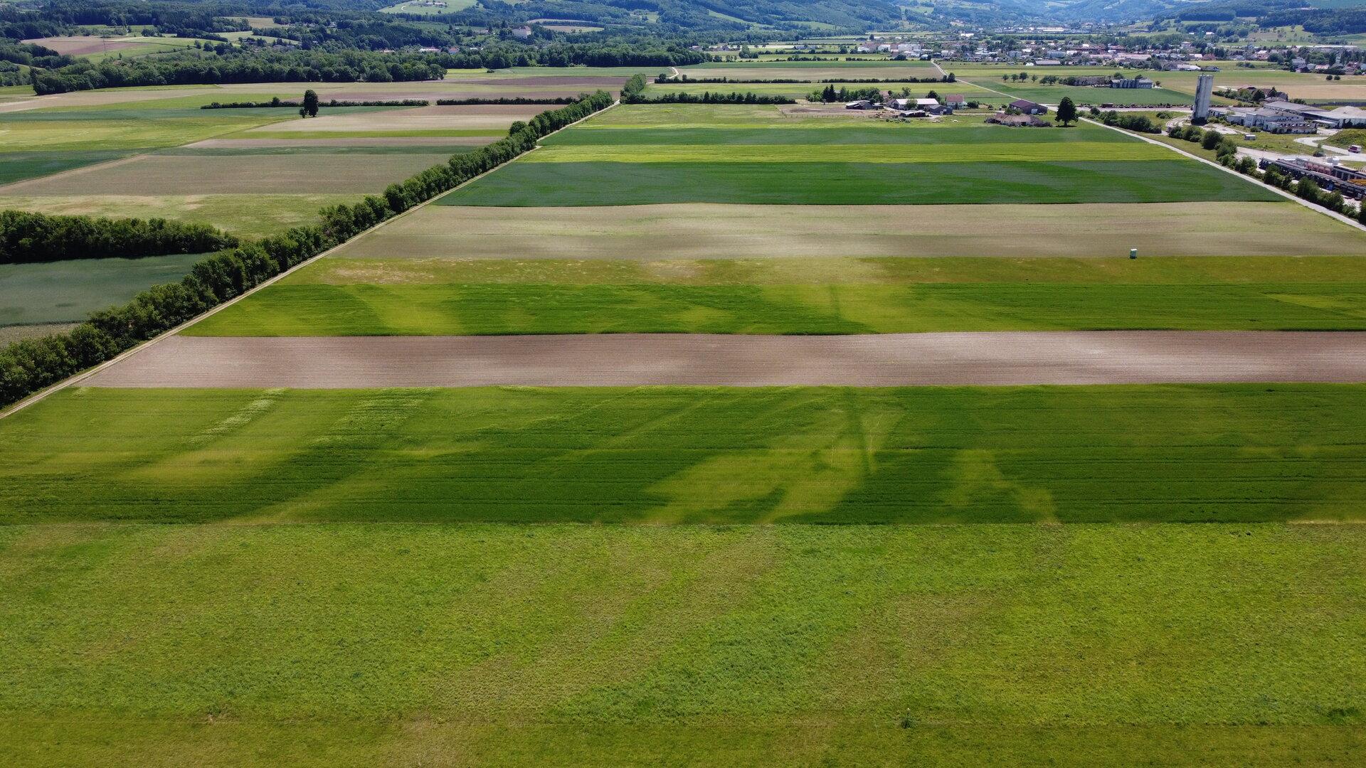 Avstrijci si želijo strožje zakone za zaščito tal, kaže raziskava WWF
