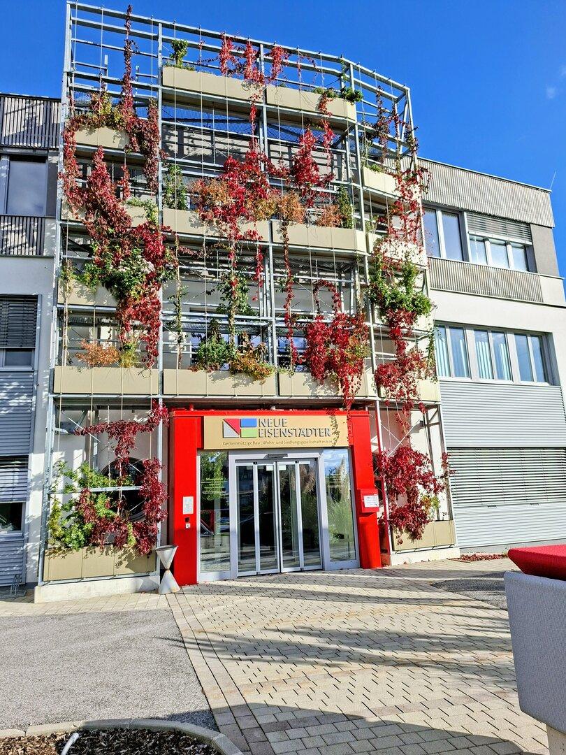 Neue Eisenstädter