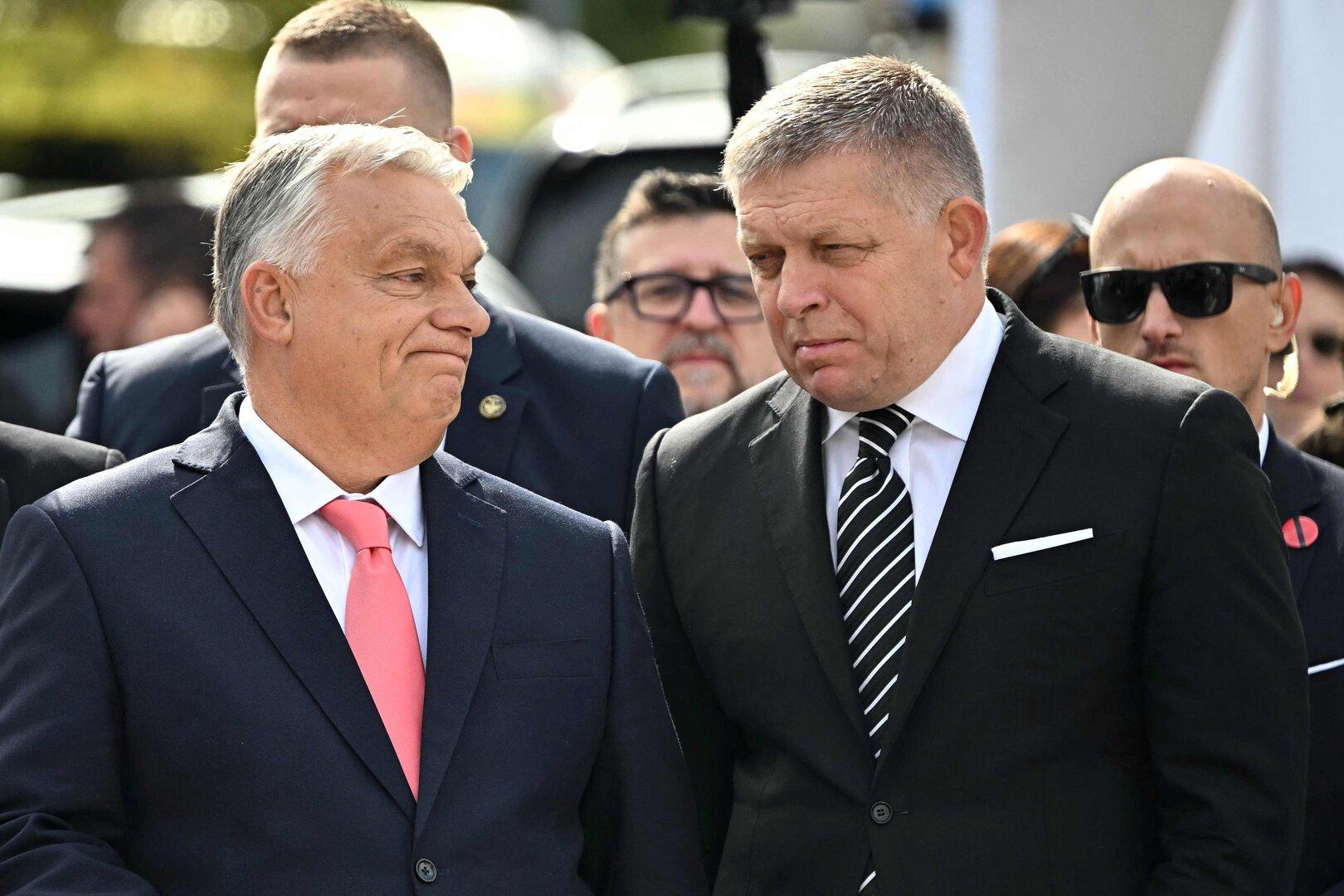 Verbündete, zumindest meistens: Viktor Orbán und Robert Fico.