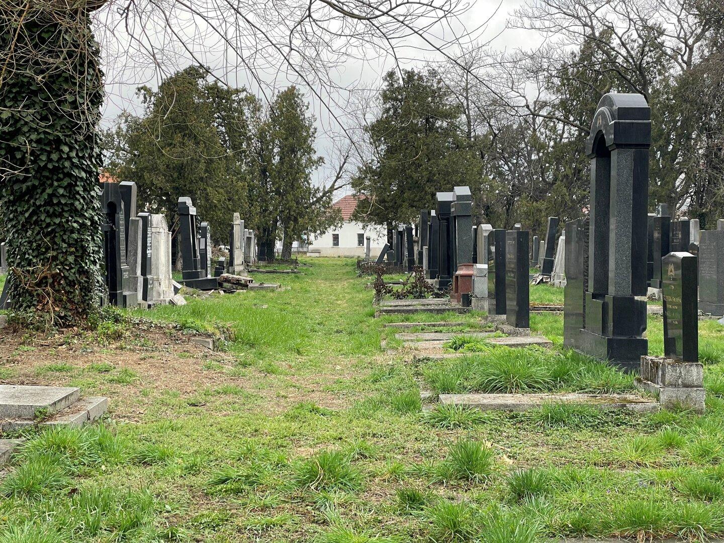 Seltene Gelegenheit: Jüdischer Friedhof in Floridsdorf öffnet