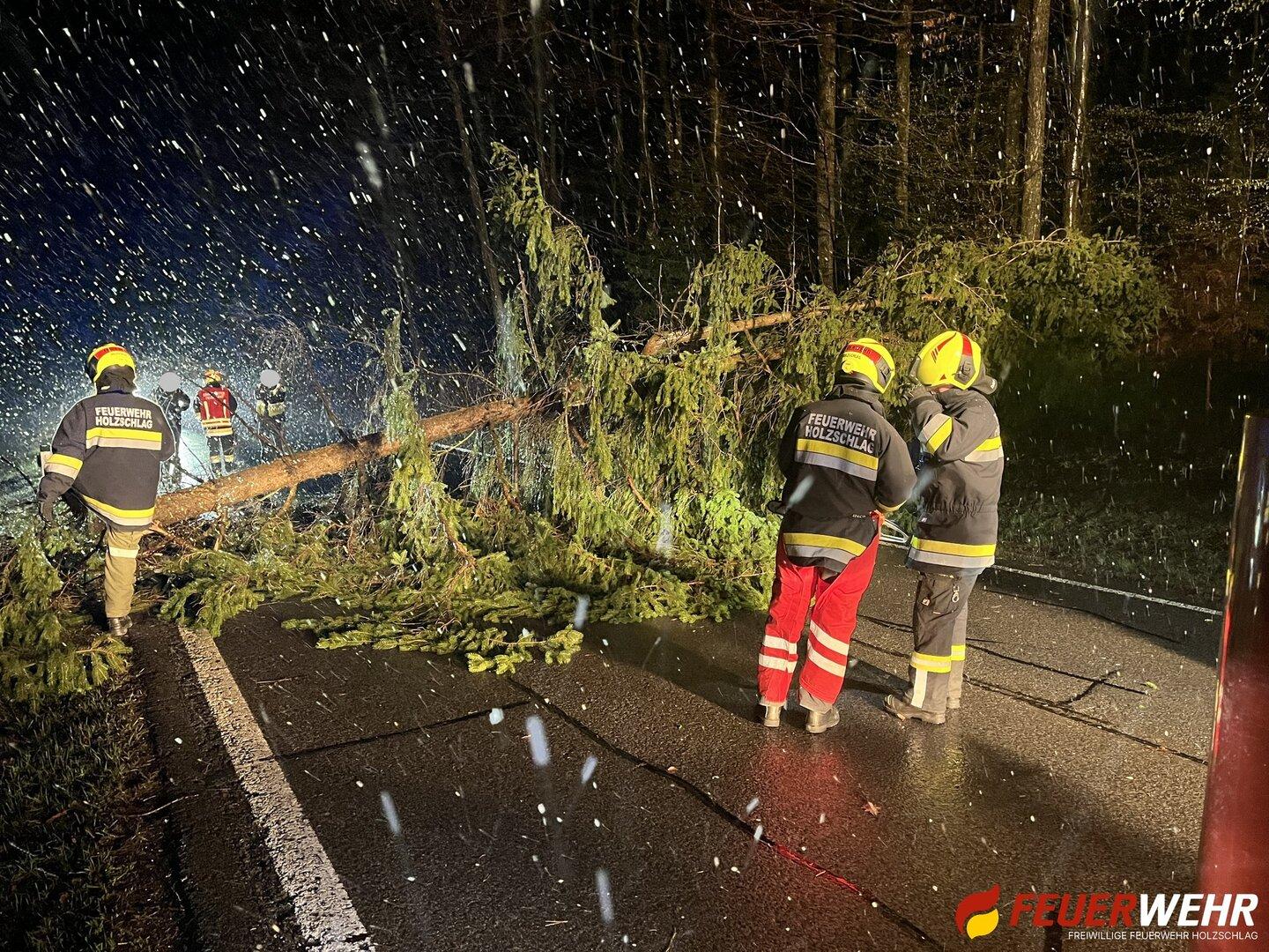 Einsatzserie nach Sturm: Mehrere Orte im Burgenland betroffen