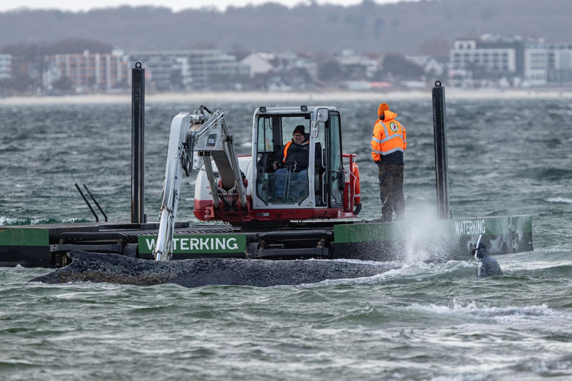 Gestrandeter Buckelwal in Deutschland - endlich befreit, aber noch nicht in Sicherheit