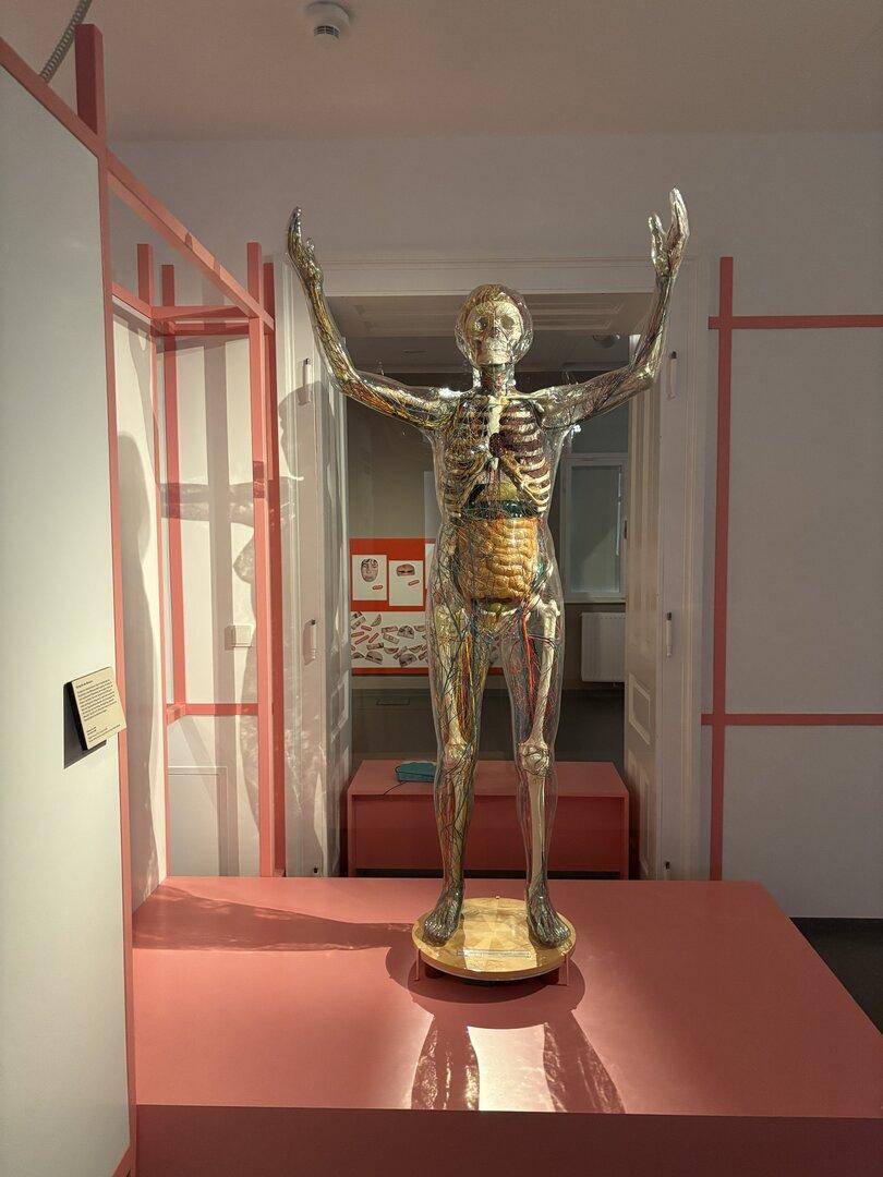 „Die Psychiatrie ist für viele Horrorbilder verantwortlich“