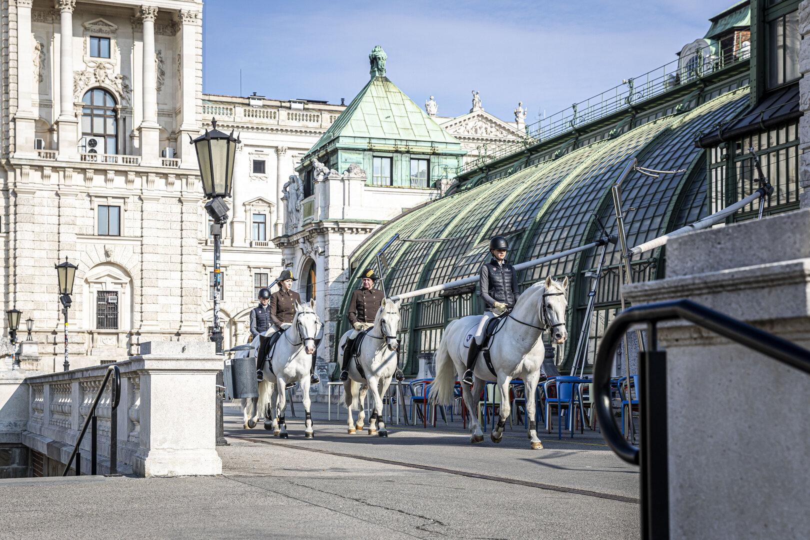 Spanische Hofreitschule: Ehemalige Bereiter üben Kritik