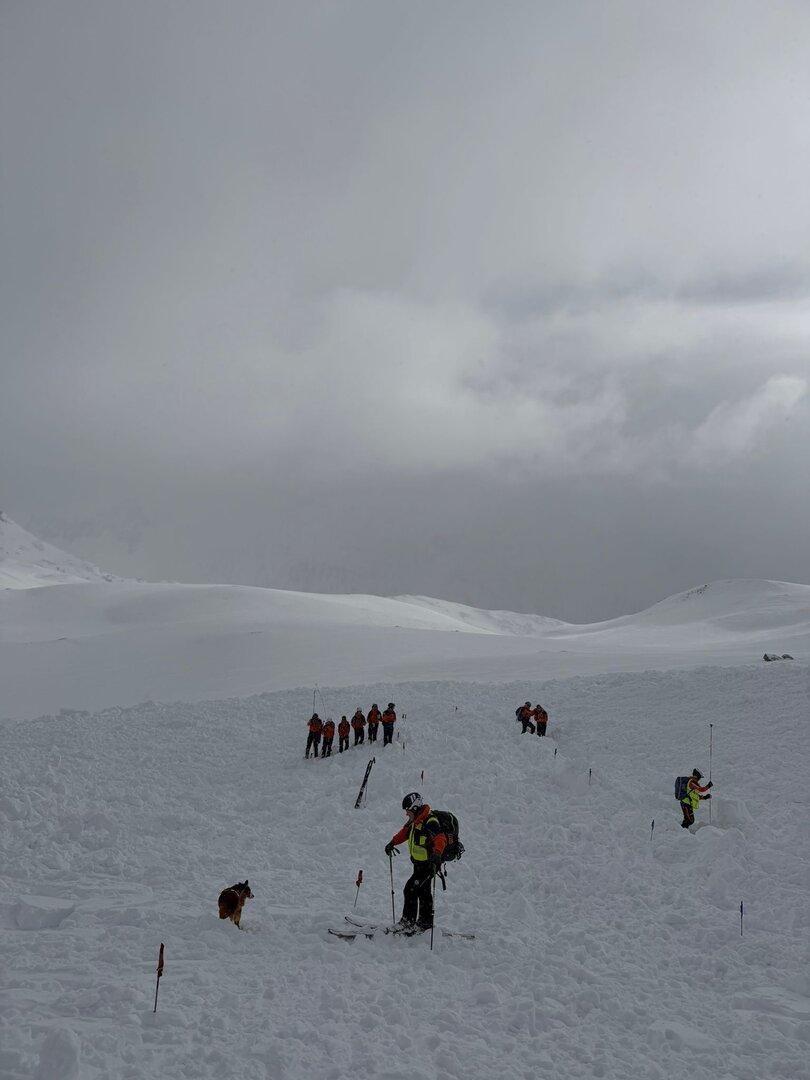 Mehrere Rettungskräfte und ein Hund suchen in verschneiter Berglandschaft nach Verschütteten.