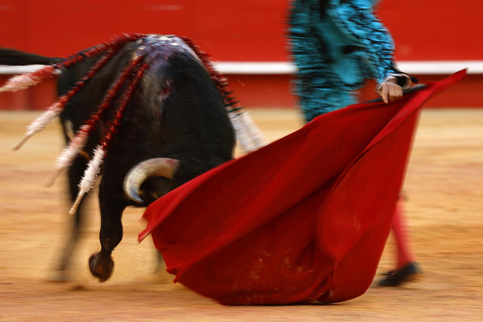 Ex-Matador vor Stierkampf zu Ehren von Picasso getötet