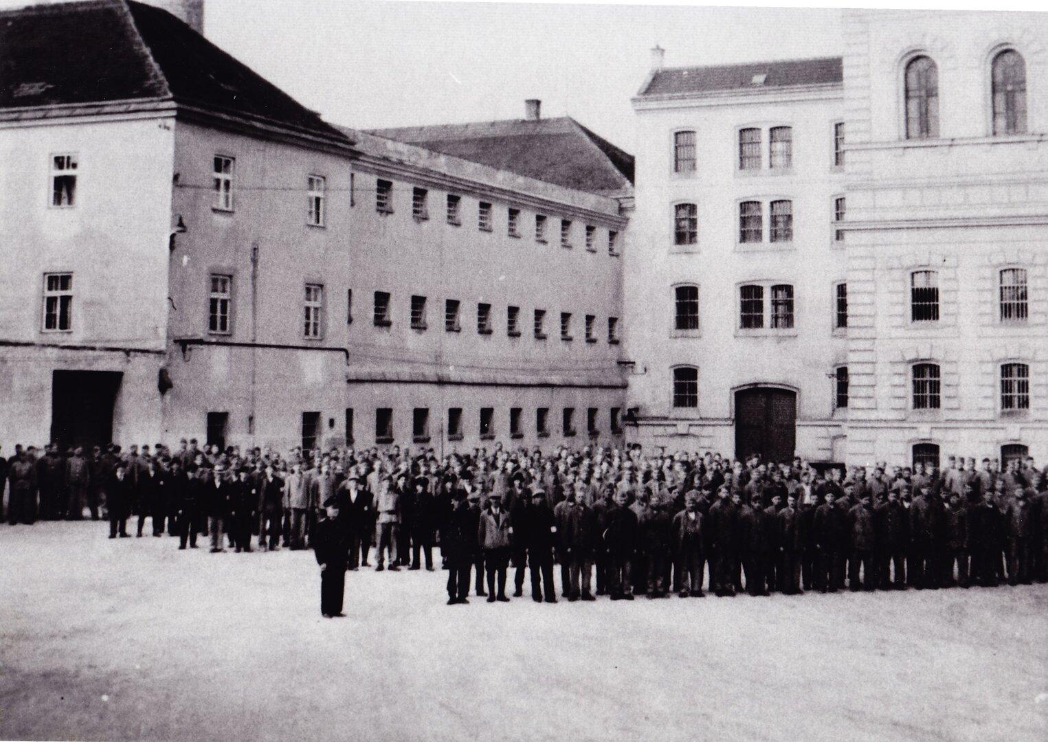 Überlebt unter Toten – das Massaker von Stein