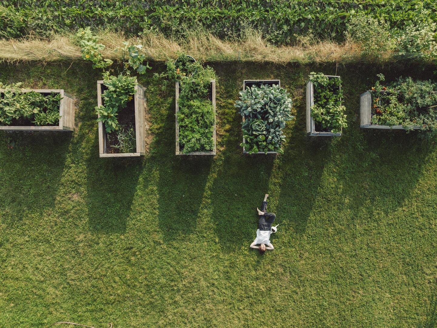 Diese Fehler ruinieren die Ernte im Hochbeet