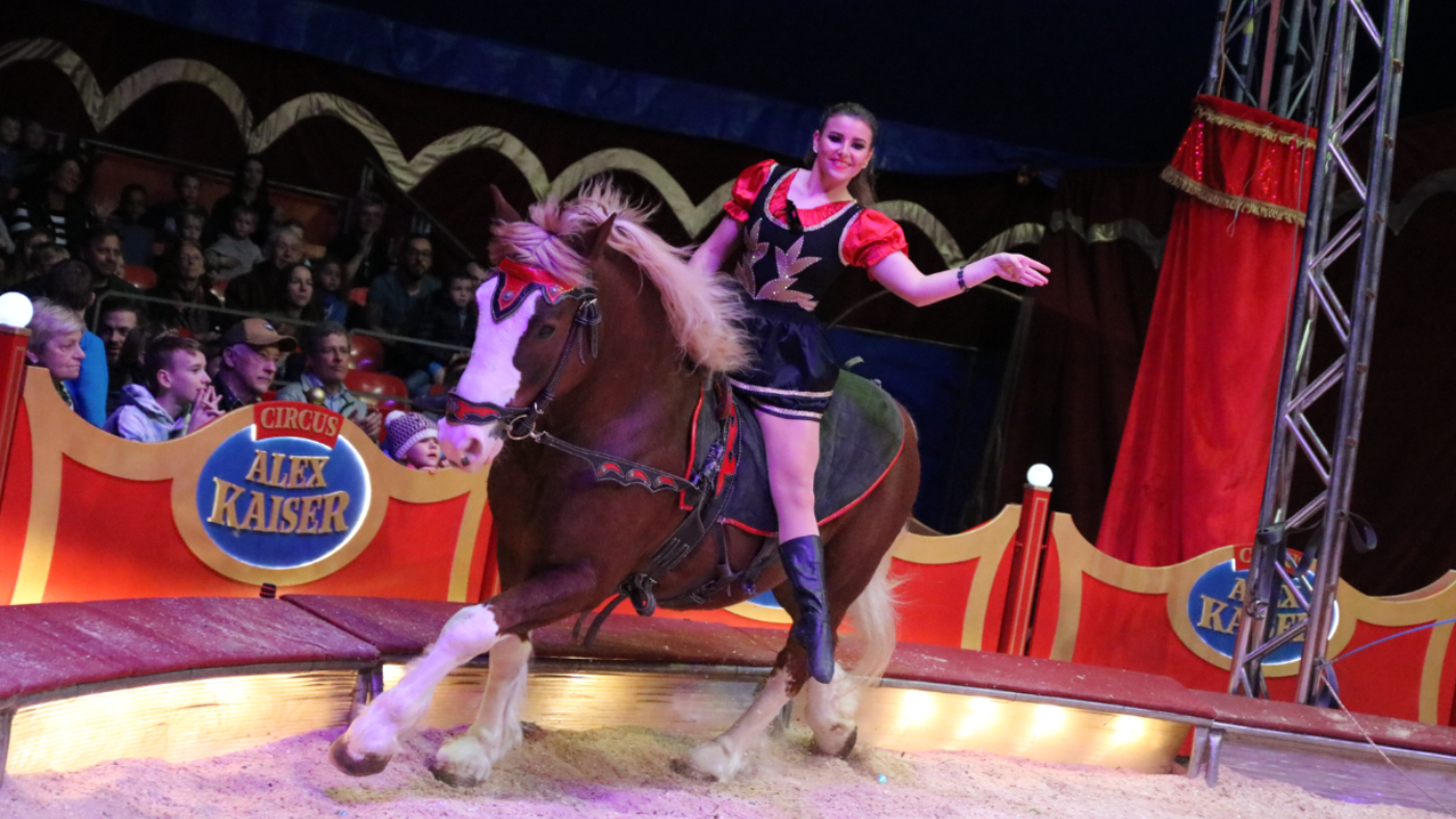 Circus Alex Kaiser: 5 x 2 Premierentickets zu gewinnen