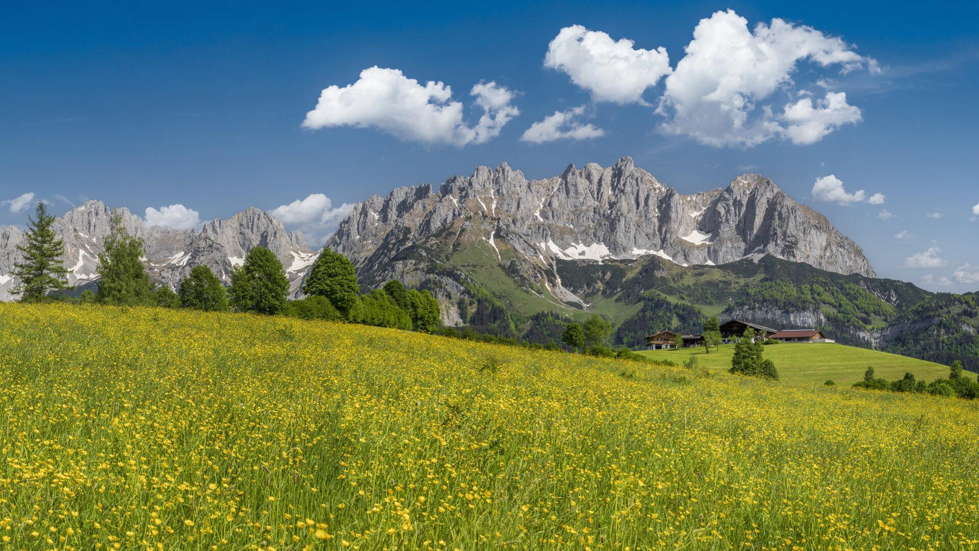 Von Schicksalen zwischen Tal und Gipfel: Wo der Bergdoktor ordiniert