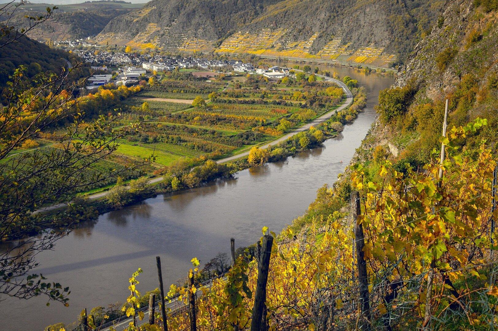 Gut gelaunt durch die deutsche Wachau: Flusskreuzfahrt über Rhein und Mosel