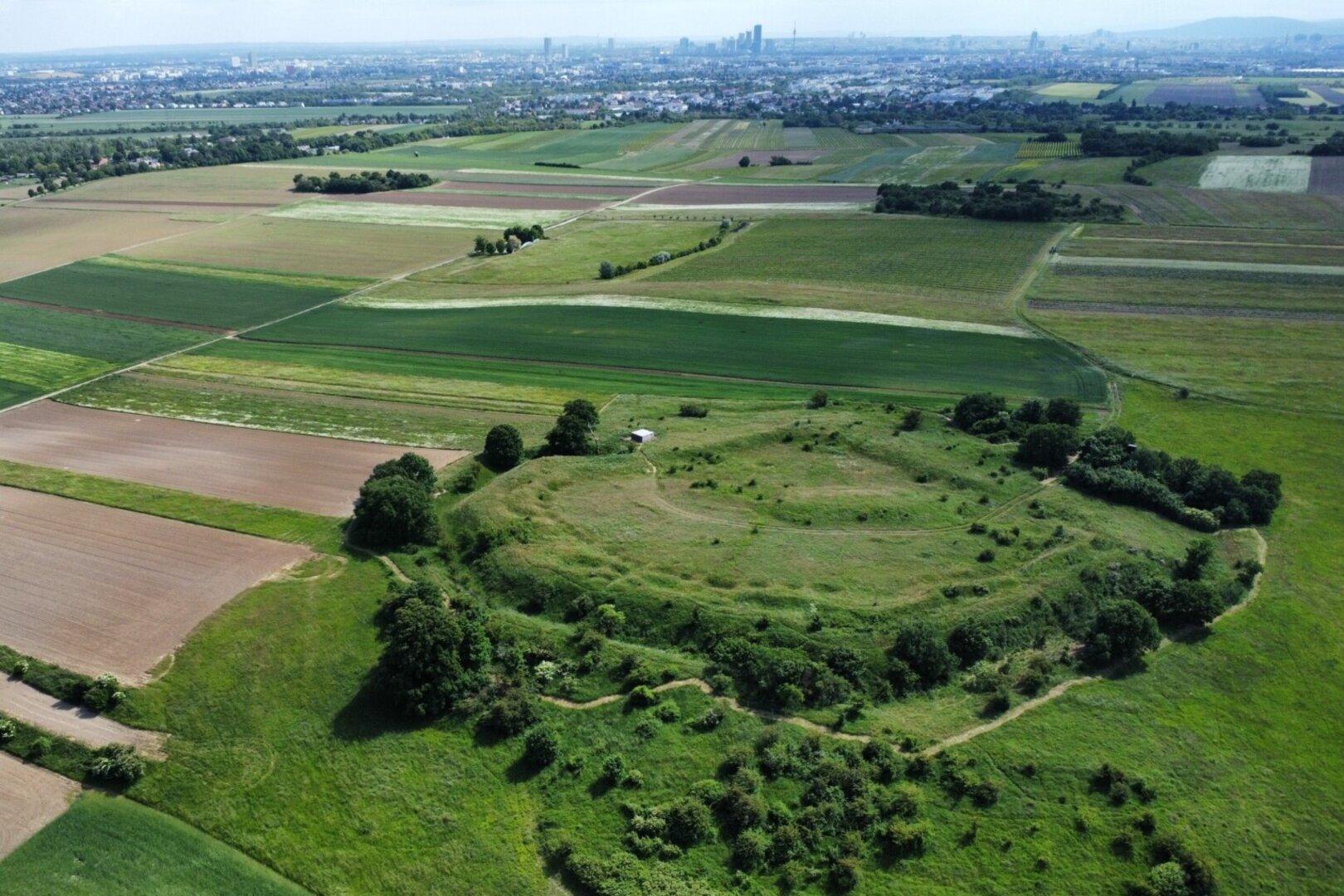 Windpark neben Naturjuwel Bisamberg? Große Skepsis nach KURIER-Bericht