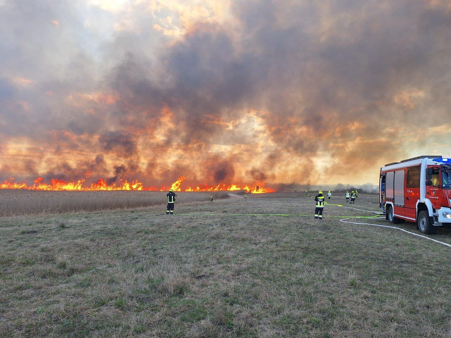 Waldbrand-Übung an der Grenze: 110 Feuerwehrleute im Einsatz